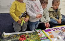 IMG_20230519_104352