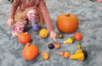 IMG_20231031_091938321