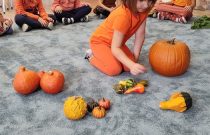 IMG_20231031_092344429