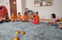 IMG_20231031_092905075