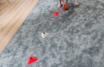IMG_20231031_102159851